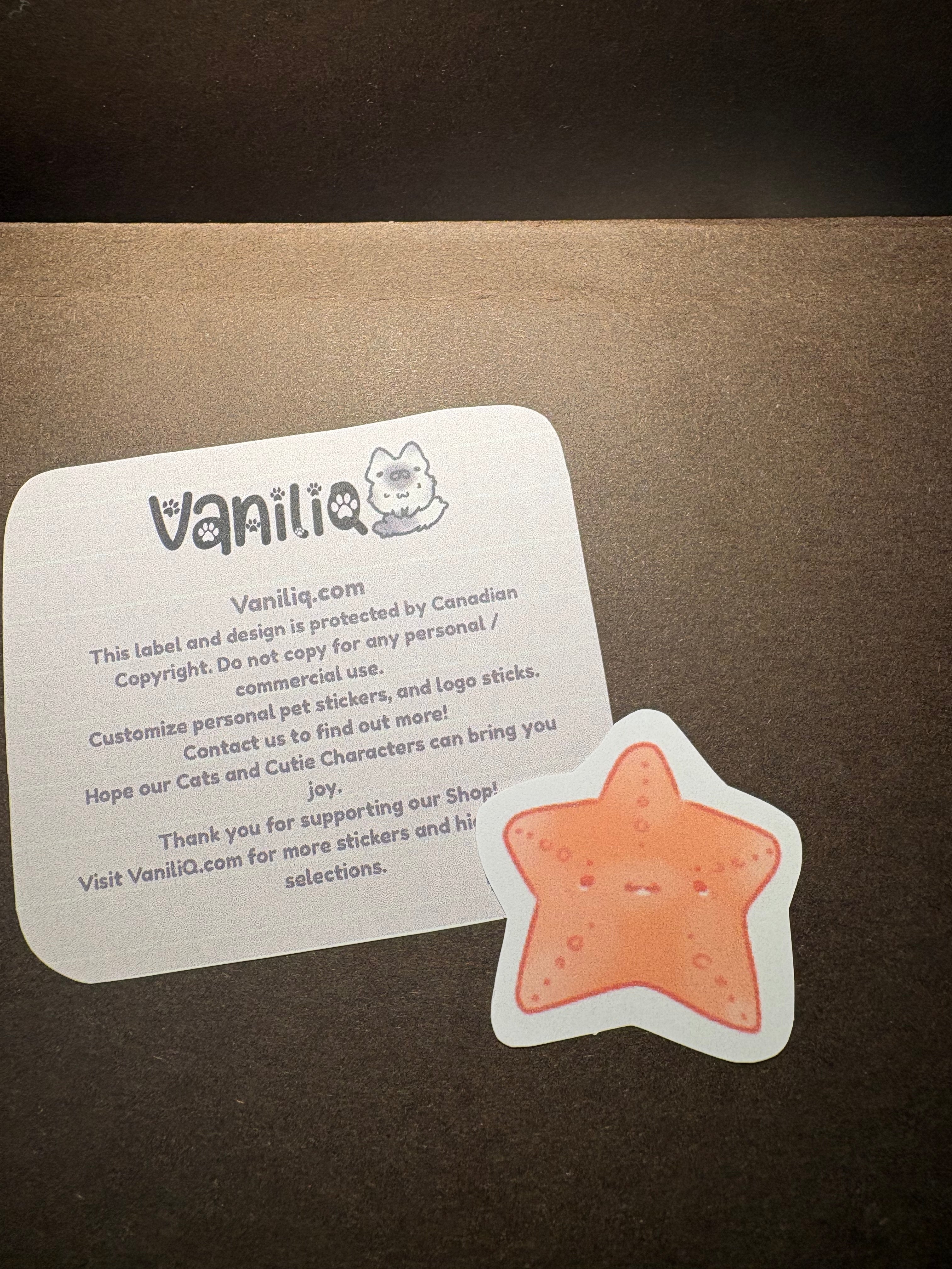 Star Fish Sticker