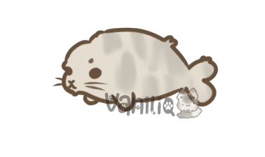 Seal Sticker