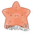 Star Fish Sticker
